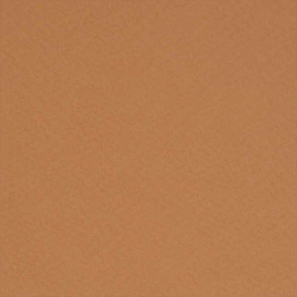 TINTORETTO Ceylon Cannella 120 gr