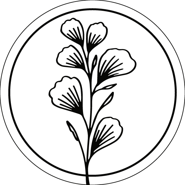 Eucalipto